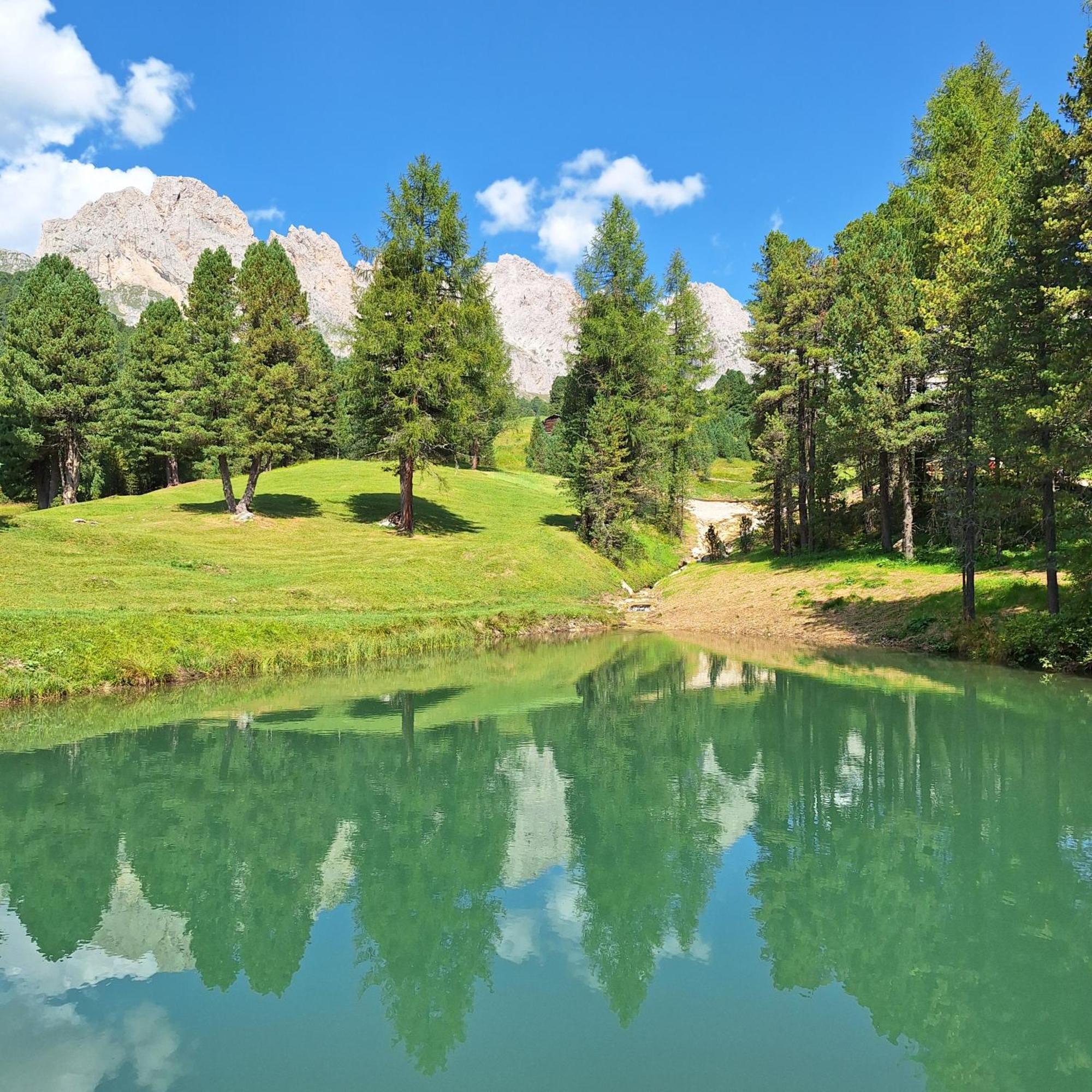 Apartment Romana Selva di Val Gardena Exterior foto